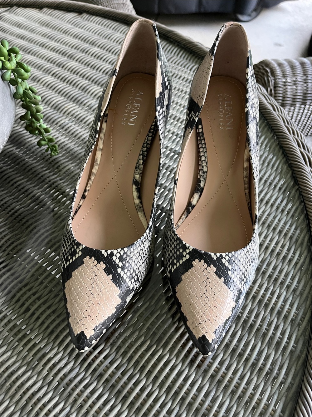 Alfani Pointed Toe Snake-Print Pumps in Black and Beige